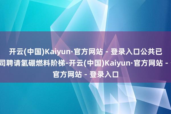 开云(中国)Kaiyun·官方网站 - 登录入口公共已有8家